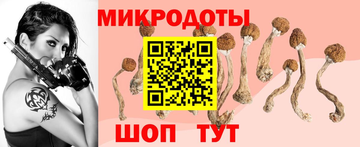 Майский  наркота  Вход с VPN  Галлюциногенные грибы Psilocybine cubensis 